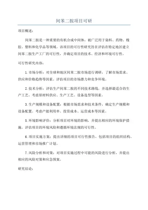 间苯二胺项目可研
