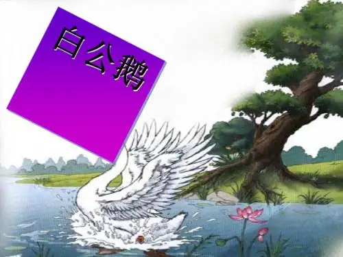 四年级语文上册 第4单元 14.白公鹅课堂教学课件2 新人教版