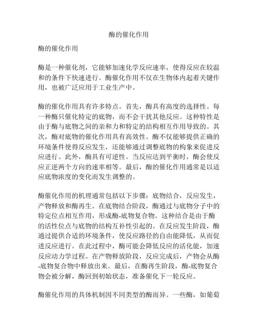 酶的催化作用