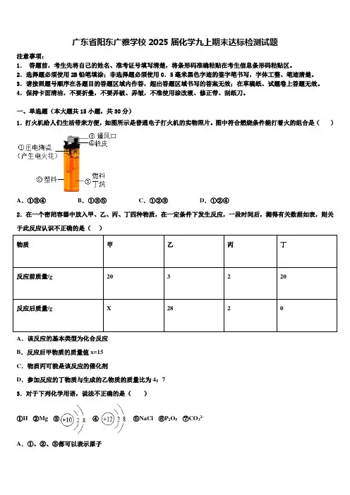 广东省阳东广雅学校2025届化学九上期末达标检测试题含解析