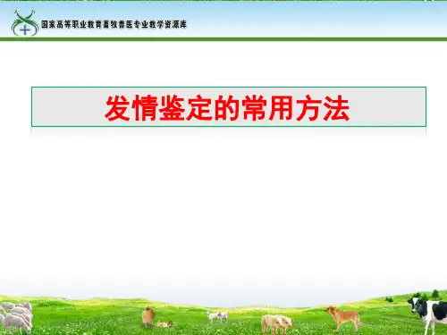 56发情鉴定的常用方法.