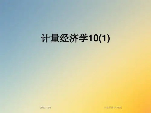 计量经济学10(1)