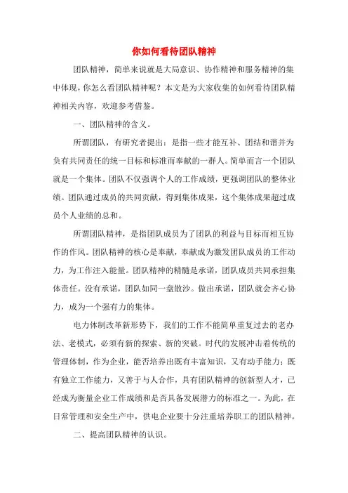 你如何看待团队精神