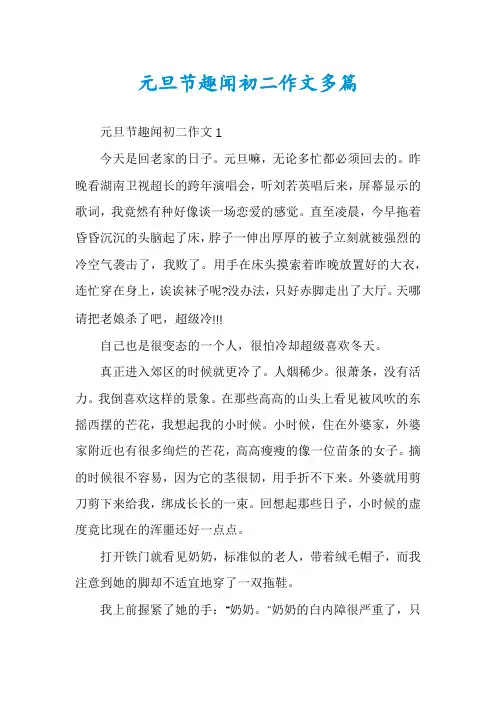 元旦节趣闻初二作文多篇