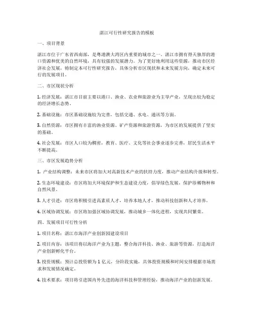 湛江可行性研究报告的模板