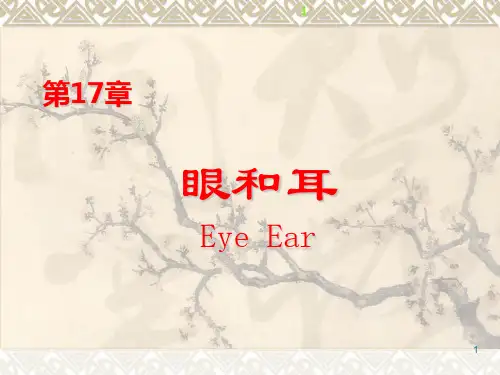 组织学与胚胎学 第17章眼耳