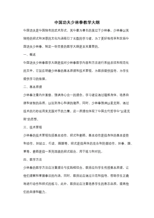 中国功夫少林拳教学大纲