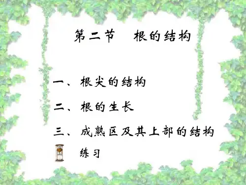 【初中生物】根的结构PPT课件