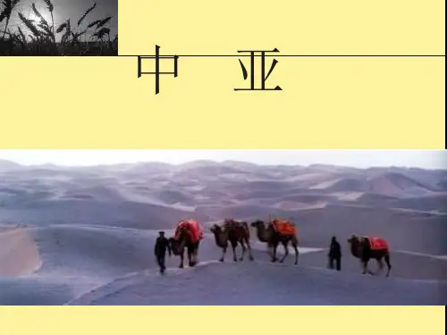 2019-2020年高考区域地理专题中亚五国(共24张PPT)