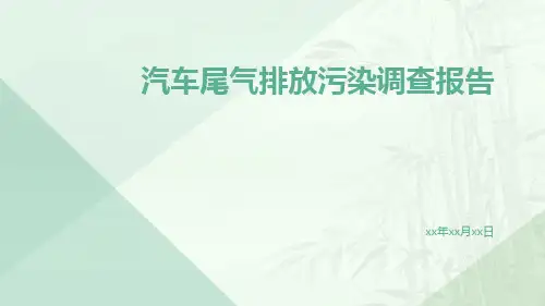 汽车尾气排放污染调查报告