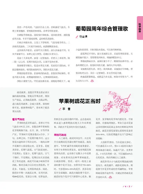 苹果树疏花正当时