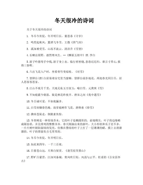 冬天很冷的诗词