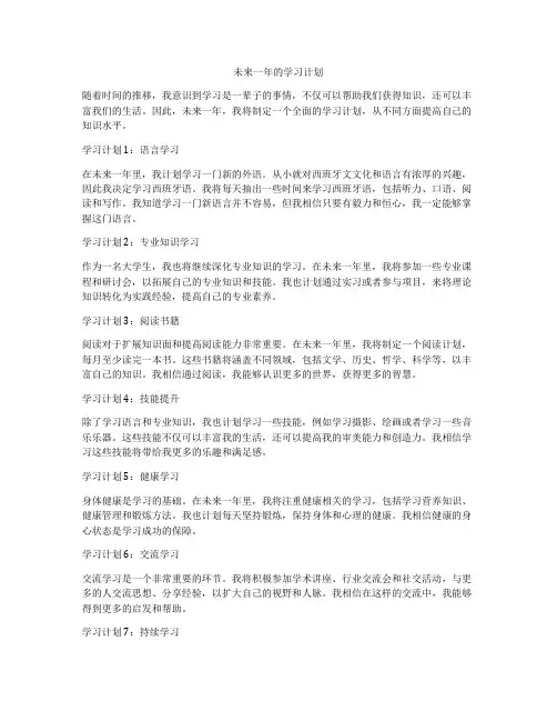 未来一年的学习计划