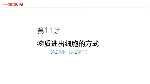 2025届高三生物一轮深度复习课件：物质进出细胞的方式(第2课时)