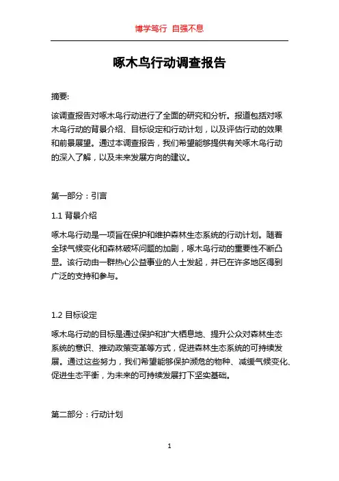 啄木鸟行动调查报告