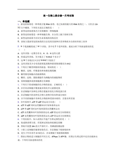 高一生物上册必修一月考试卷