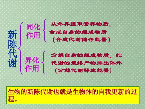 高中生物课件-细胞呼吸PPT