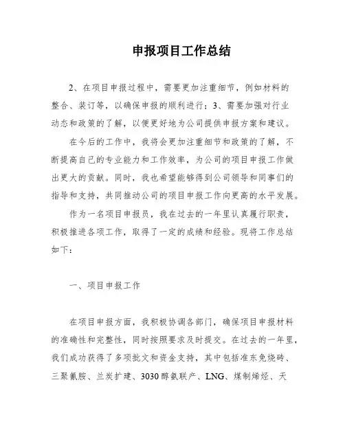 申报项目工作总结