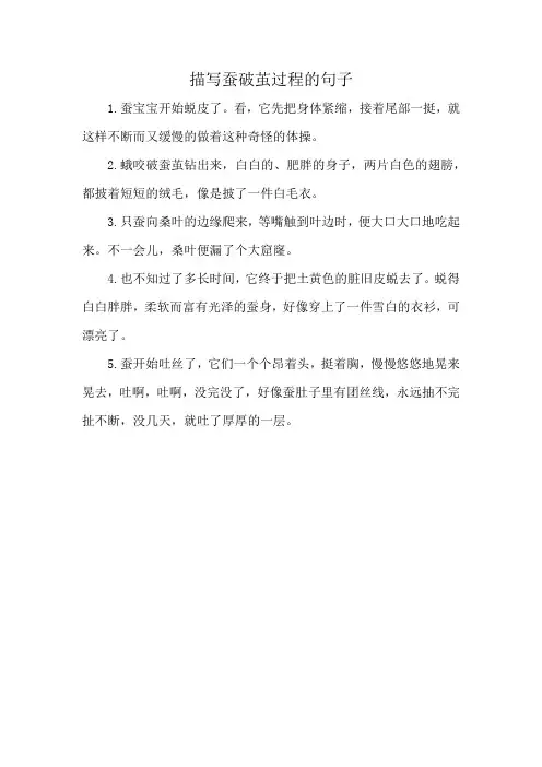 描写蚕破茧过程的句子