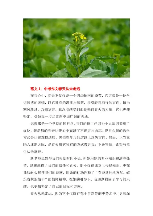 中考作文春天从未走远作文600字