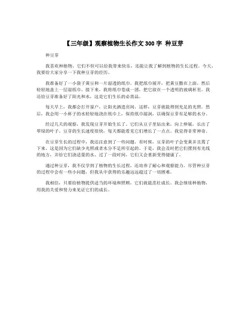 【三年级】观察植物生长作文300字 种豆芽