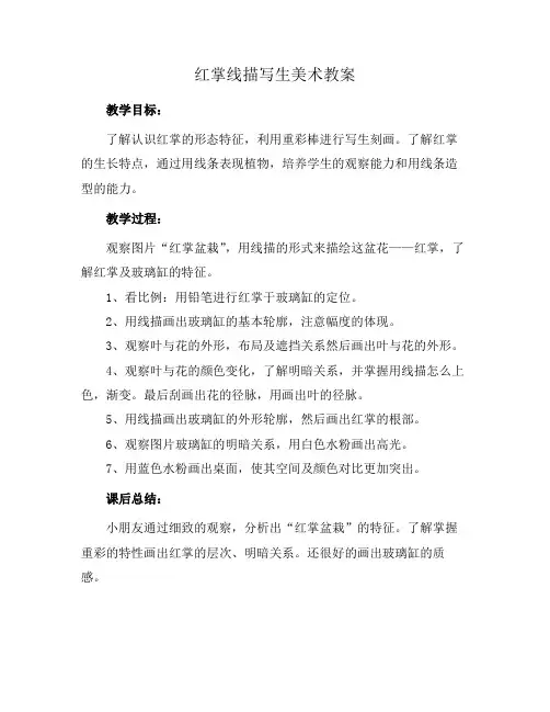 红掌线描写生美术教案