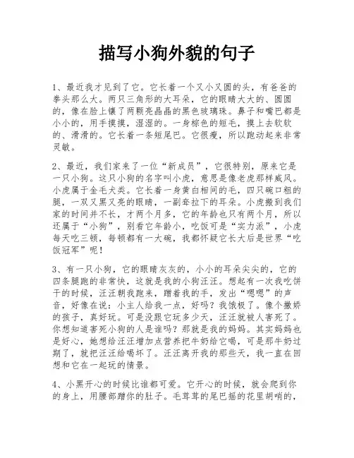 描写小狗外貌的句子