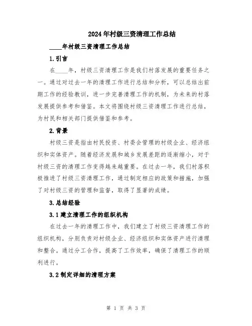 2024年村级三资清理工作总结