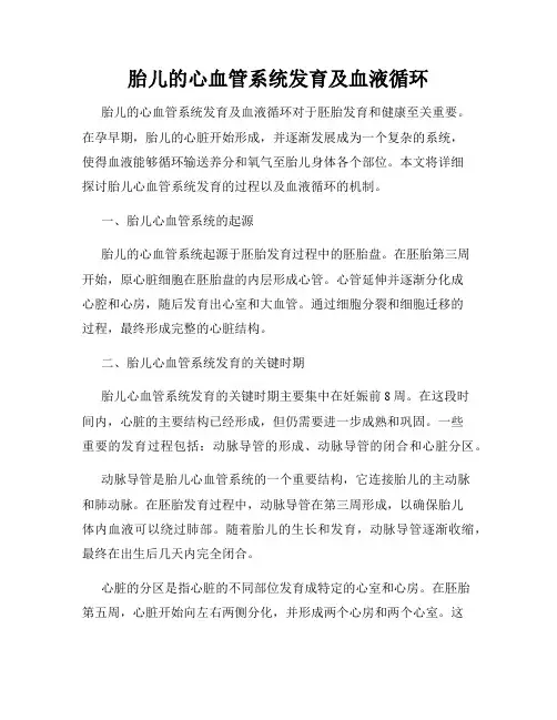 胎儿的心血管系统发育及血液循环