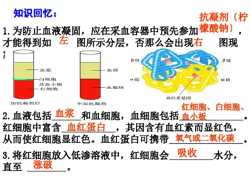 高中生物5.3 血红蛋白的提取和分离优秀课件