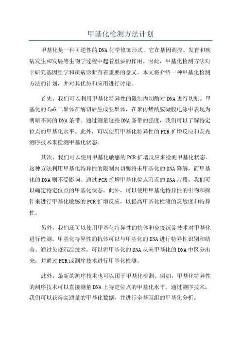 甲基化检测方法计划