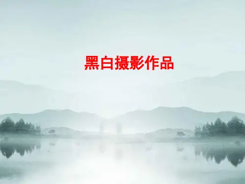 摄影基础教学课件：黑白摄影作品