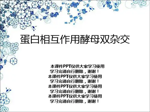 蛋白相互作用酵母双杂交