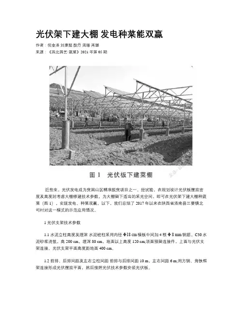 光伏架下建大棚 发电种菜能双赢