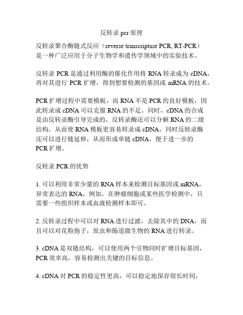 反转录pcr原理