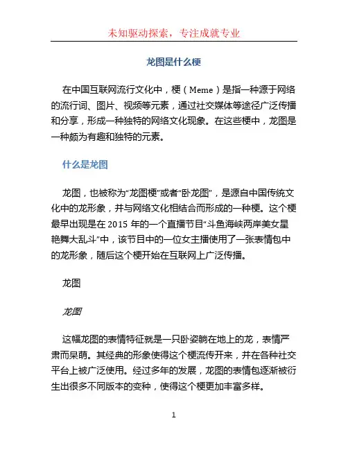龙图是什么梗