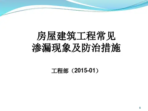 常见渗漏现象及防治措施PPT课件