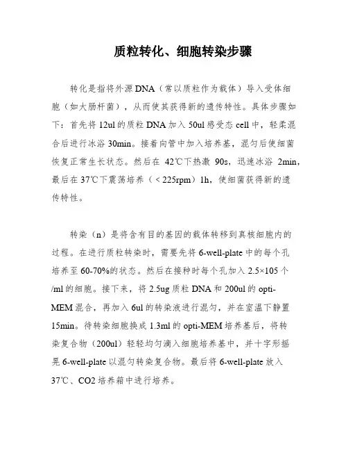 质粒转化、细胞转染步骤