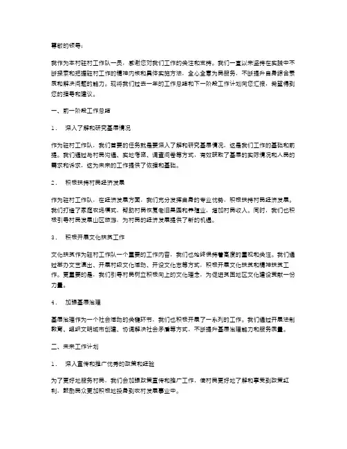 驻村工作队述职报告