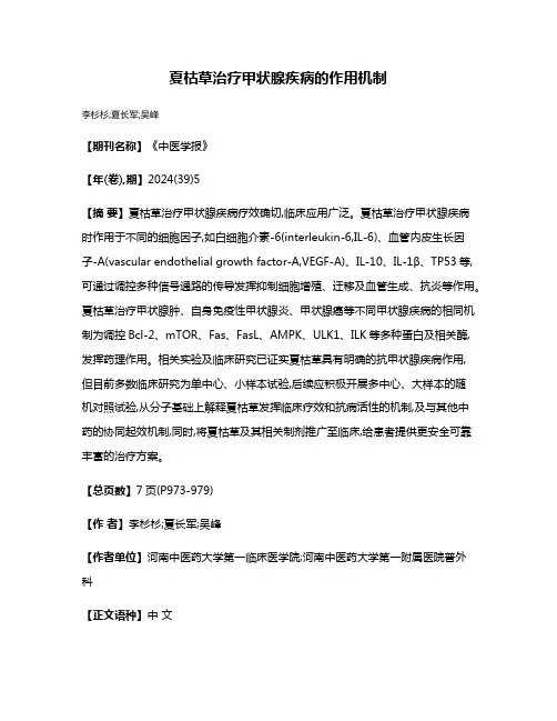 夏枯草治疗甲状腺疾病的作用机制