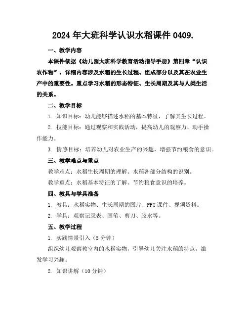 2024年大班科学认识水稻课件0409.