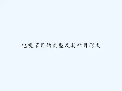 电视节目的类型及其栏目形式 PPT