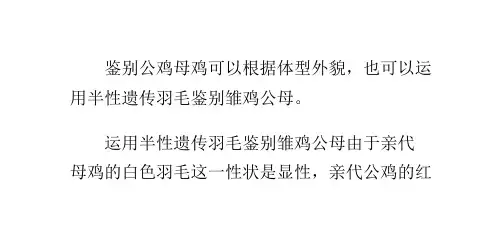 鉴别公母鸡的方法