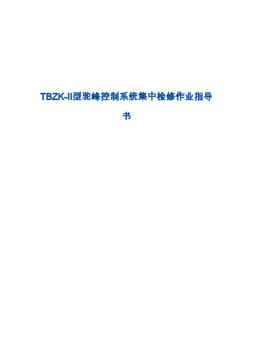 TBZK-Ⅱ型驼峰控制系统集中检修作业指导书