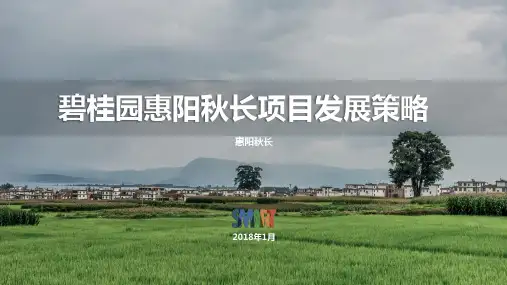 房地产品牌-碧桂园惠阳秋长项目发展策略初步成果营销策划方案