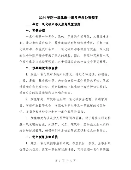 2024年防一氧化碳中毒及应急处置预案