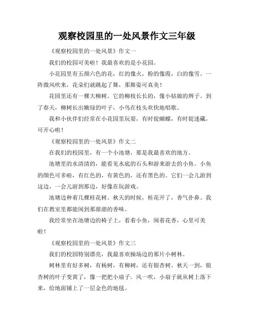 观察校园里的一处风景作文三年级