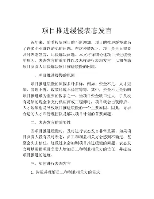 项目推进缓慢表态发言