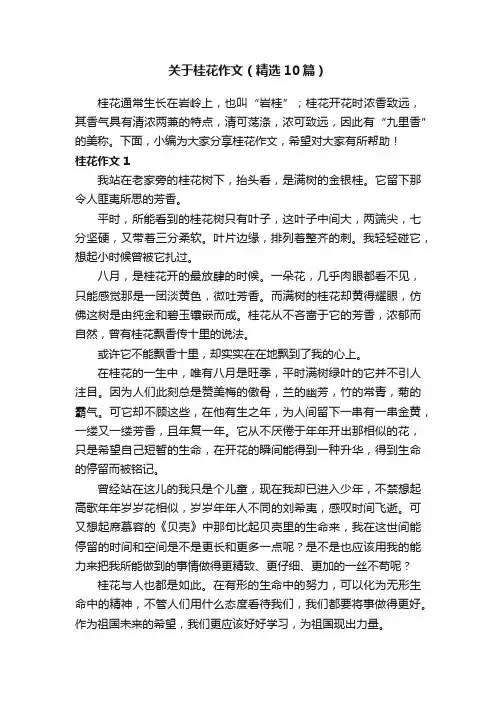 关于桂花作文（精选10篇）