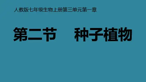 初中七年级上册生物《种子的结构》课件